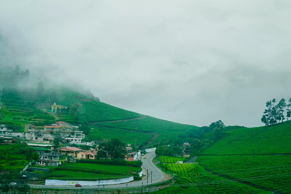 Thiruvananthapuram Kovalam Poovar tour package