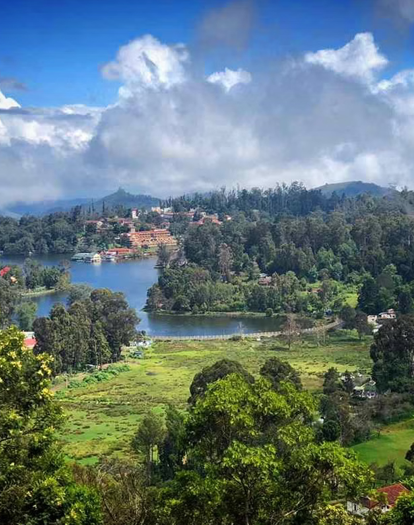 One Day Tour in Kodaikanal