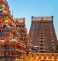 One Day Tour in Kanchipuram